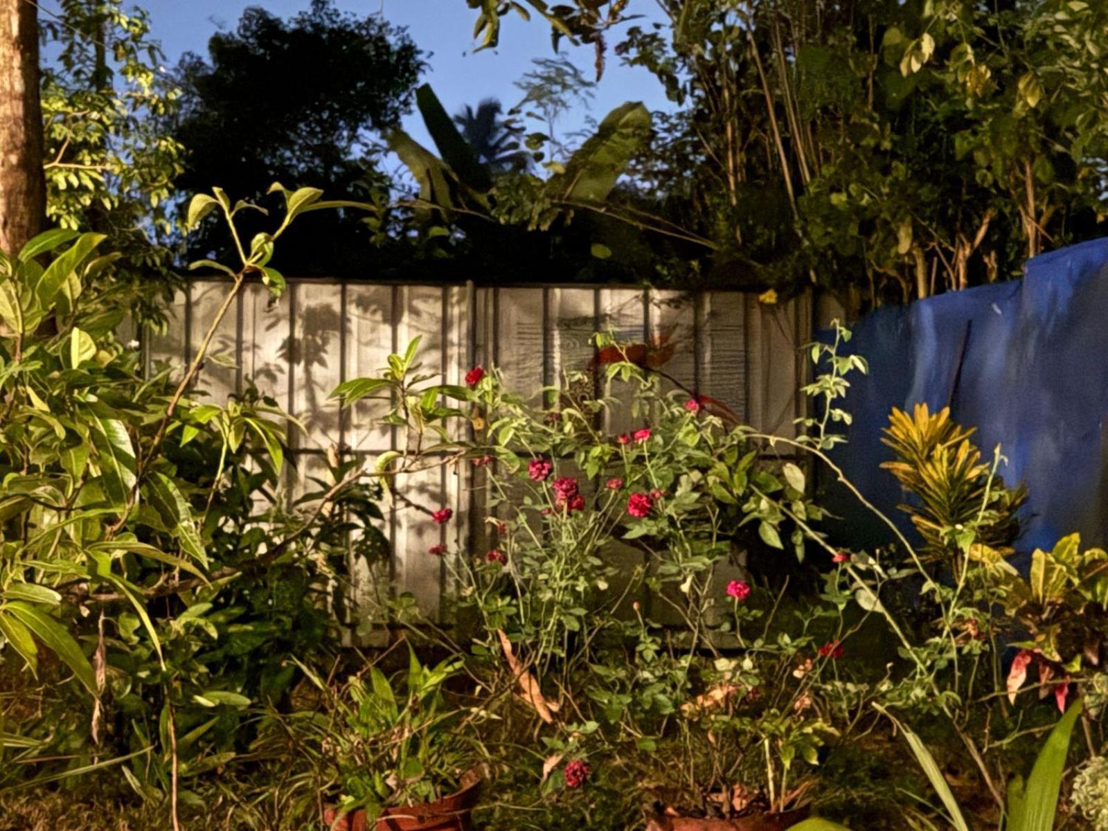 Marari Adonis Beach Villa Mararikulam Luaran gambar