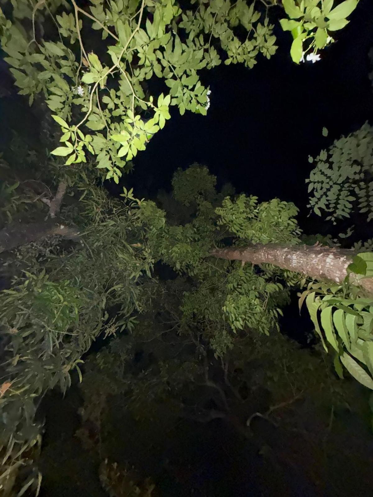 Marari Adonis Beach Villa Mararikulam Luaran gambar