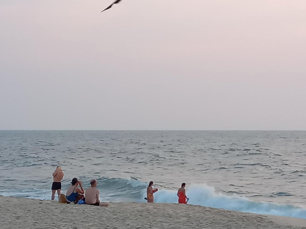 Marari Adonis Beach Villa Mararikulam Luaran gambar